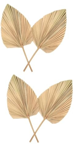 Cabilock 4piezas Palma Seca para Decoración De Bodas y Fiestas Elemento Natural para Estilo Boho para Ambientar Eventos y Hogar