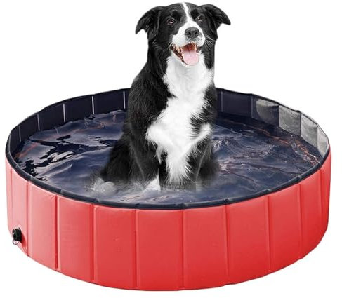 RASPIO Piscina para Perros y Caja de Parto Plegable, Piscina de plástico y bañera para Perros, Piscina portátil para partos y baños(Red,120 * 30cm)