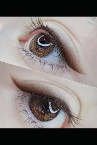 PMU EYELINER TATTOO TRAINING MANUAL: Classic Eyeliner, Winged Eyeliner, Smokey Ombre' Eyeliner
