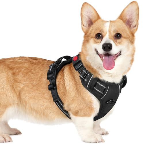 rabbitgoo Harnais Chien avec 3 Boucles, Facile à Mettre et à Enlever, Harnais Anti Traction pour Chien avec Poignée et Attache Devant, Réglable, Réfléchissant, Arnet pour Chiens Petit, Noir, S