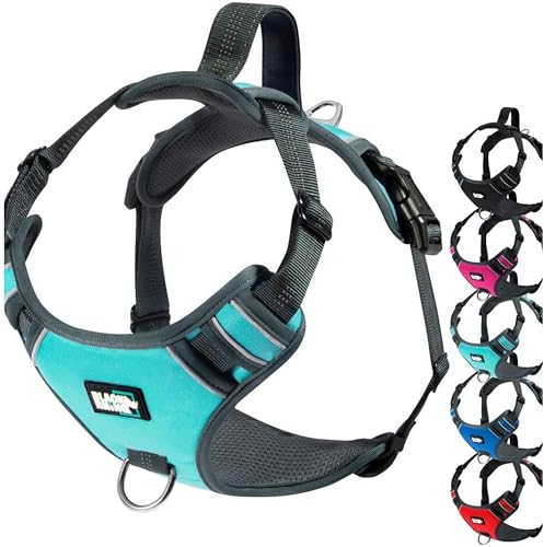 Black Rhino das Comfort-hundegeschirr mit Netz Padded Vest für kleine große rassen | einstellbare | reflektierende | 2 Leine attachments auf Brust (klein, Aqua/gr) , halti für hunde