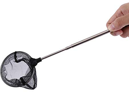 Jadeshay Retino,Retino per Acquario con Manico Telescopico Regolabili in Acciaio Inox per Catturare Piccoli Pesci e Gamberetti e Pulire l'Acquario