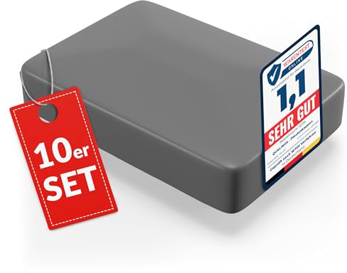 Qualinos 10x Zaunkappen Kunststoff 40x60mm mit Walmdach | Pfostenkappen für Doppelstabmattenzaun | Abdeckkappen UV-stabilisiert | Hochwertige Zaunpfosten Kappen Made in Germany (Silber/Verzinkt 9006)