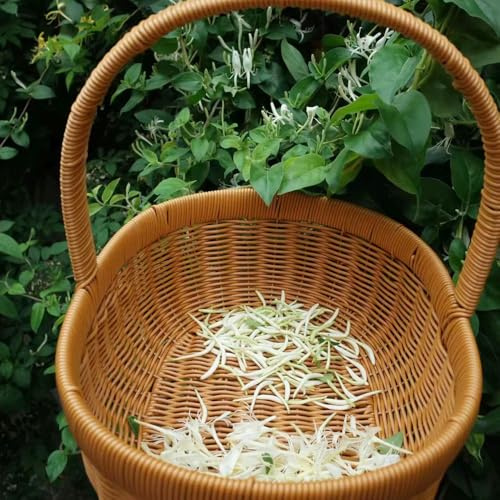 100 piezas semillas de plantas trepadoras - plantas trepadoras resistentes, madreselva resistente, semillas de pradera plantas exóticas resistentes, plantas resistentes para jardín,