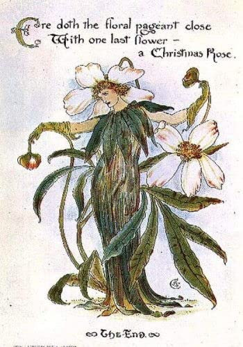 PSVDCTOO Gefeiert Wall Art Leinwand Bilder Wandgemälde Abbildung Zeigt Eine fee als christrose von walter crane Poster Bilder Leinwand für Zimmer 60x90cm