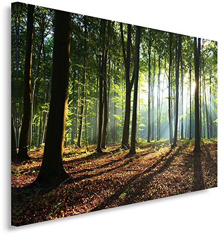 Feeby, Leinwandbild, Bilder, Wand Bild, Wandbilder, Kunstdruck 80x120cm, Wald, Baum, Landschaft, Natur, GRÜN
