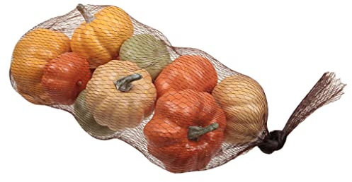RiloStore 12 STK Kürbis Herbstdeko Kürbisse Dekokürbis 5-7cm Herbst Dekoration Dekoset Geschenkset o261 Basteln Früchte Dekokürbisse