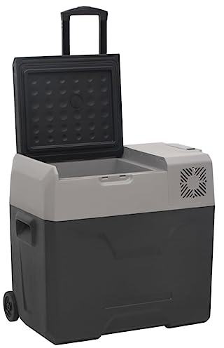vidaXL Kühlbox mit Rollen und Adapter, Gefrierbox mit viel Platz für Getränke, Eisbox mit effizienter Kühlung, Kühlschrank Gefrierschrank Getränkekühler, Schwarz und Grau 40 L Polypropylen