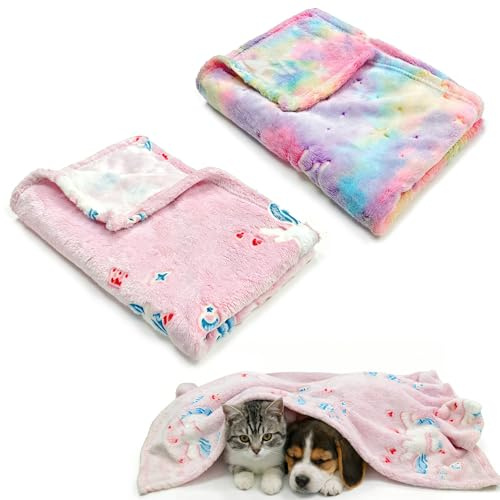 CAIJ 2 Stück Hundedecke & Katzendecke Flauschig Waschbar 100x75 cm – Weiche Kuscheldecke für Kleine Hunde Katzen & Welpen, Kleine Decke für Bett, Katzen Transportbox & Unterwegs