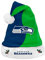 Forever Collectibles Seattle Seahawks 2017 NFL Basic Logo Plush Christmas Santa Hat