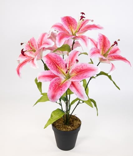 Seidenblumen Roß Lilie Real Touch 50cm im Topf DP Kunstblumen Kunstpflanzen künstliche Blumen Pflanze (Rosa-Pink)