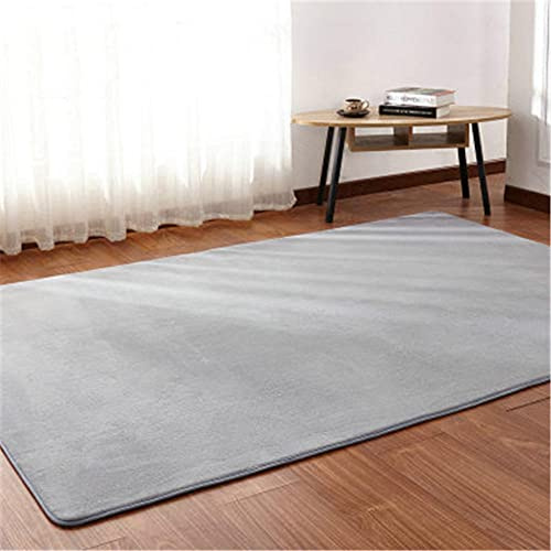 Alfombra de Terciopelo Coral Grueso de Color sólido Calidad Color sólido gris Suave Lavable Antideslizante Grande Rugs Minimalista Moderna Sala De Estar Dormitorio Tatami Gateando Estera -60×90cm