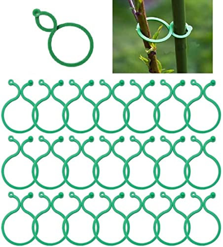 Muzboo 200 Stück Pflanzenring-Clips, grüne Clips, Gartenpflanzen-Stützclips, Kunststoff-Pflanzen-Twist-Clips, Stütz-Clips zum Halten von Gemüse klein