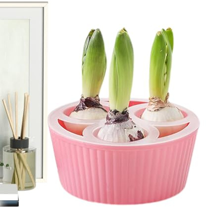 Vasi da fiori idroponici, contenitore per piantare narcisi a 3 fori, per giardinieri, appartamenti, principianti, davanzali interni, cucina, soggiorno, camera da, libreria, ingresso