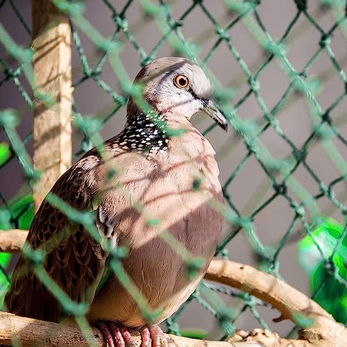 PanHuiWen HüHnernetz Vogelschutznetz Habicht Taubenabwehr Balkon Rabe HüHnernetz Maschenweite 1.5x1.5cm für Garten, Balkon oder Teich, Volierennetz,10x15m