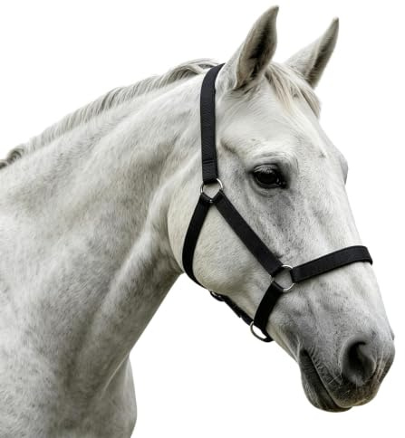 Cabestro Ajustable para Caballos Atrezzo Ajustable para Pastoreo Y | Cabestro De Cuerda Equino Apto Para En Las Granjas, Ganado Bovino, Cabras, Ovejas, Corderos Y Terneros