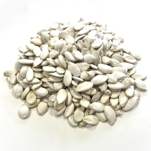 Pumpkin Seeds 1kg Animal Feed and Natural Wild Bird Seed Rowanberries LGDS