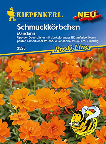 Kiepenkerl Profi-Line Schmuckkörbchensamen Mandarin 3528 - Dauerblüher - Kompakter und einheitlicher Wuchs - Blumensamen, Blumenwiese Samen, Saatgut