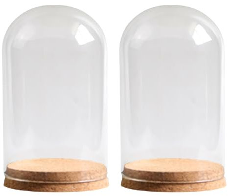 Uqezagpa 2pieces Small Glass Dome Affiche Stand avec Cork Base Glass Cloche Bells Jar pour Objets Collection Décoration D'artisanat