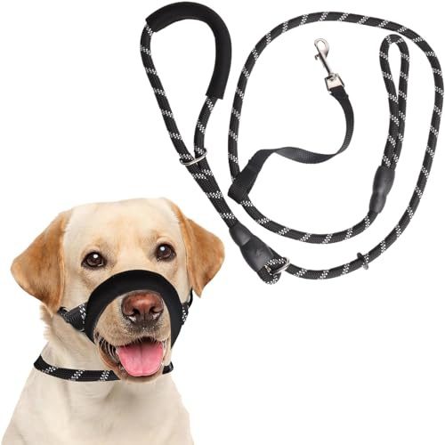 Slip Lead, 1.9M Anti Pull Dog Lead for 20-50kg Medium Large Dogs | Neoprene Padded Slip Lead, 190cm 10mm Reflective, Anti Pull Figure 8, Medium Large Dogs