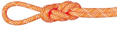Mammut