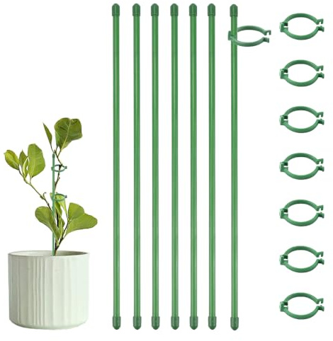 CAREDGO 18 PCS Tuteurs pour Plantes, Support de Plantes Piquets d'Orchidées 30 cm, Vertes Support de Plante en Plastique Piquet de Plante avec Boucle de Plante Piquets de Plantes avec 36 Clip Attache