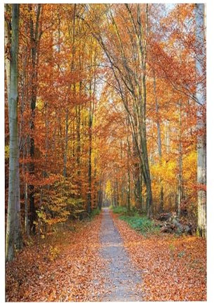 Koxitip Fall Print,Puzzle Board,Portable Wooden Jigsaw Puzzle for Adults,Pathway Covered with Fallen Leaves,Birthday Gift for Family and Friends,Orange Yellow Plastic Box Storage 300PCS