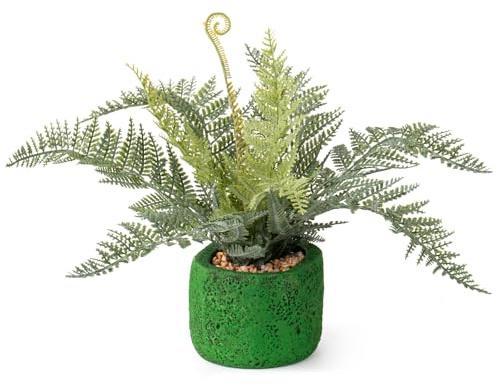 Artificial Boston Fern Potted Plant 26cm, Fake Ferns Indoor for Home Office, Realistic Faux Greenery in Green Textured Pot, Small Houseplant for Shelf Desk Bathroom, Aesthetic Room Decorations