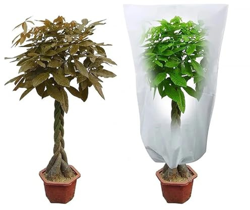 funda para plantas protector 2 bolsas de protección invernal for plantas contra el frío y las heladas, ideales for cubrir jardín. Con cremallera, cordón ajustable transpirable(White,120x180cm)