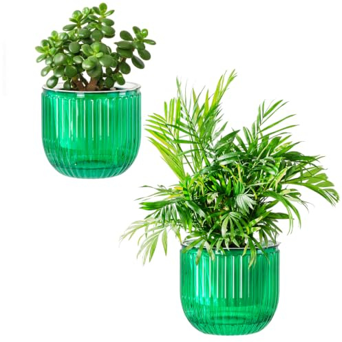 Josteve Self Watering Plant Pots Indoor, 16.5cm 2 Pack Plastic Flower Pots Orchid Garden Planters Outdoor for Herb, House Plant, African Violets, Visible Water Level Planter with Drainage Holes