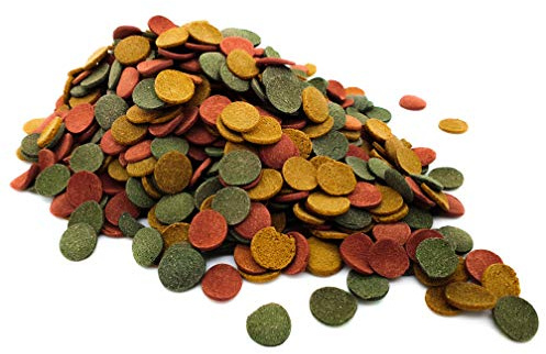 HERONS - Mezcla de obleas de algas - Obleas de hundimiento de 16 mm con espirulina - Para todos los peces de alimentación inferior - Con vitaminas y minerales - Mejora el color y mejora la digestión -