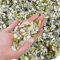 Hisredsun 0,95 kg piedras decorativas 8 – 12 mm piedras de jade pulidas, piedras para acuario, maceta, paisajismo, relleno de jarrón y decoración de jardín