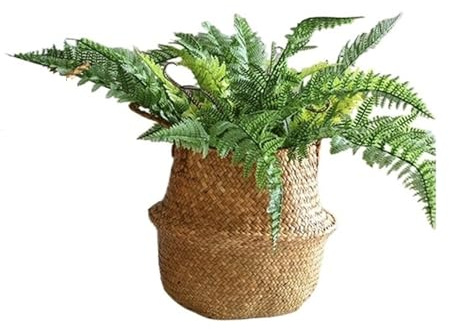 Krukor för inomhusväxter Stor lyxig blomsterkorg, vävd paradisfågel och Monstera-specifik planteringskorg, extra stor flätad plantering(Små)