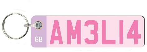 Pixie's Gifts Custom License Plate Keychain - Personalised Number Plate Keyring - Mini Number Plate Key Ring - Name Plate Keychain - Just Passed Milestones (Personalised)