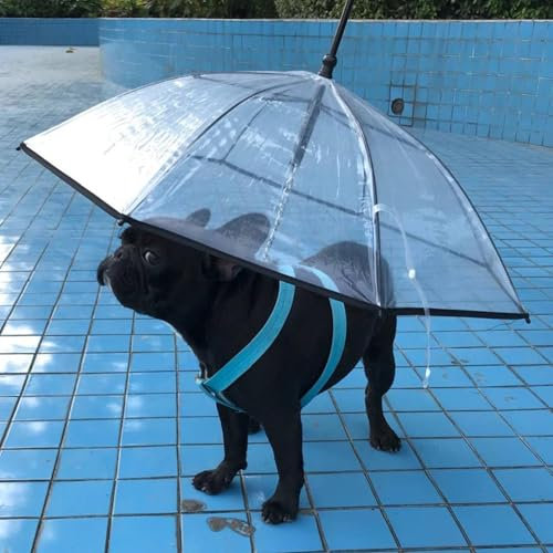 Hunde Regenschirm Faltbarer Haustier-Spazierschirm für Kleine Hunde, Transparenter Welpen-Hundeschirm mit Stabilem Rahmen, Kleiner Mittelgroßer Hunderegenschirm für Regen- und Schneetage(Metal Chain)