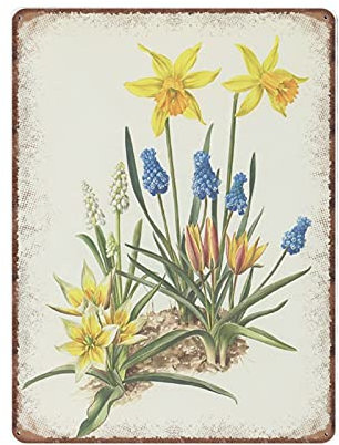Narzisse botanische Blechschilder, 1964, Vintage-Tulpe, botanische Kunst, Frühlingsblumen, gelber Frühling, Wandkunst, Hyazinthe, lustiges Metallschild, Poster, Wandkunst, Küche, Garten, Badezimmer, H