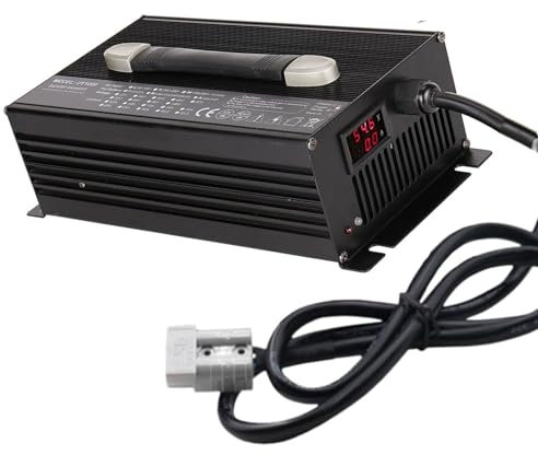WLEJSL Chargeur Batterie Haute Puissance 1500 W 48 V 25 A pour Chariot Élévateur avec Prise Anderson 350 A, Transpalette Électrique et Chargeur Laveuse Sol à Conducteur Marchant,A2