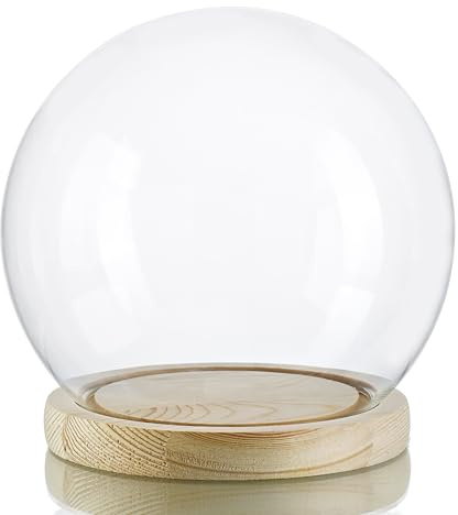 ZEERSHEE Round Globe Cloche Glass Dome with Wooden Base, 6 Glass Display Dome for Succulents, Plants & Keepsakes, Decorative Sphere Cloche Bell Jar for Collectibles & Home Decor