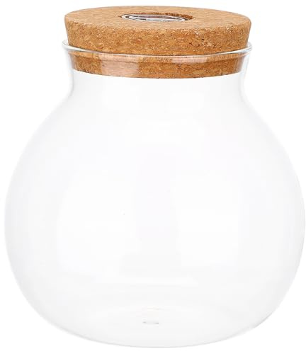 Ökologische Flasche aus Borosilikatglas mit LED Licht | Ewiges Terrarium Glas, Glasflasche mit Holzdeckel, für Raumdeko und Beobachtung, Weiß
