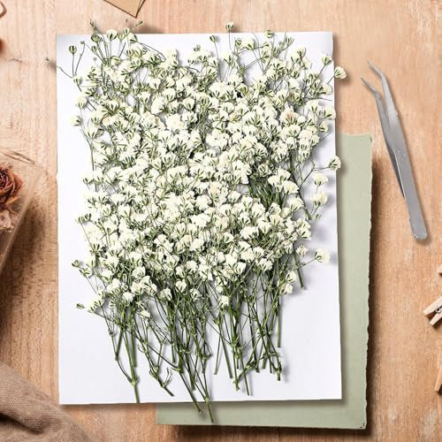 KAOHONG 130Pcs Dried Pressed Baby's Breath Flowers, Real Nature Dried Mini White Gypsophila Flowers for Resin Art Craft DIY Making Wedding Card Home Party Decor