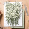 130 Pezzi Gypsophila Essiccata Bianchi Fiori Secchi per Decorazioni Mini Fiori Bianchi di Gypsophila Secchi in Vera Natura per l'artigianato Artistico di Resina, Nozze Decorazioni