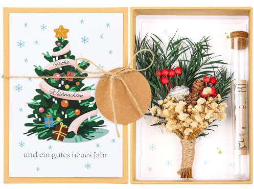 Weihnachten Geschenk für Frauen – Geschenkbox mit Trockenblumen & Reagenzglas – Kreative Geldgeschenk- und Gutscheinverpackung – Kleine Geschenkidee für Freundin, Mama & Kollegen (Weihnachten)