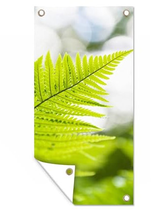 MuchoWow Outdoor-Poster Poster Wanddeko draußen Deko Garten Gartenposter 40x80 cm Blatt eines Farns vor einem verblassten Hintergrund