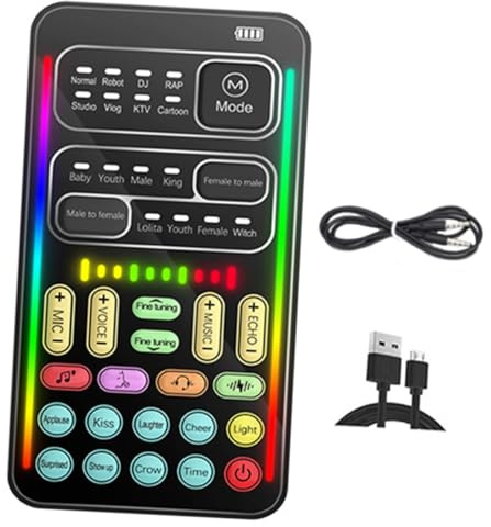 Housoutil Carte Externe Et Changeur De Voix Portable Outil pour Modification De Voix sur Ordinateur Appareil pour Jeu Et Streaming Direct