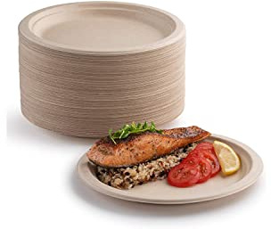 YIEN 100 Stück superstarre Pappteller, 100% biologisch abbaubar und kompostierbar, umweltfreundlich, strapazierfähig, recycelbar, ideal für Picknicks, Grillabende (17,8 cm)