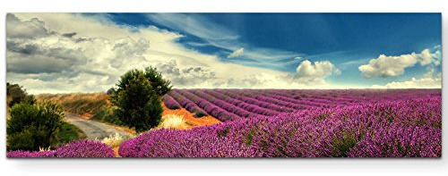 Leinwandbilder | Bilder Leinwand 120x40cm Lavendel Felder bei blauem Himmel