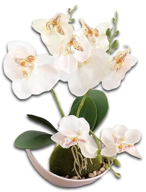 Molyorch Fleur Artificielle Phalaenopsis, Orchidée Artificielle Phalaenopsis, Fleur Artificielle Papillon orchidée dans avec Pot Fleur Artificielle pour la Décoration de Bureau de Mariage à la Maison