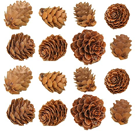 Amosfun Pine Flower 100 StüCk Mini Tannenzapfen Deko Zum Basteln 2X2X1Cm Kunststoff Weihnachtsdeko Herbstdeko Fotografie Requisiten Kreative Kiefer Zapfen