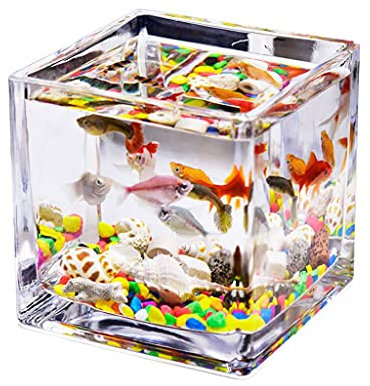 sararui Aquarium Desktop-Quadrat Transparentes Glas Mini-Büro-Haushalts-Fisch-Tank-Wasser-Gras-Panzer Betta-Fisch-Zierfisch Kleiner Fisch-Tank Aquarium Komplettset (Size : 4.72IN)