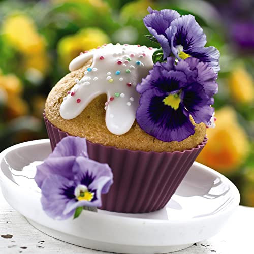 Pansy Viola Seeds 'Tasty Mixed' F1 Hybrid x wittrockiana Hardy Perennial Mixed Colour Blooms Easy to Grow Your Own Edible Garden Flowers 1x Packet (Approx. 18 Seeds) by Thompson and Morgan